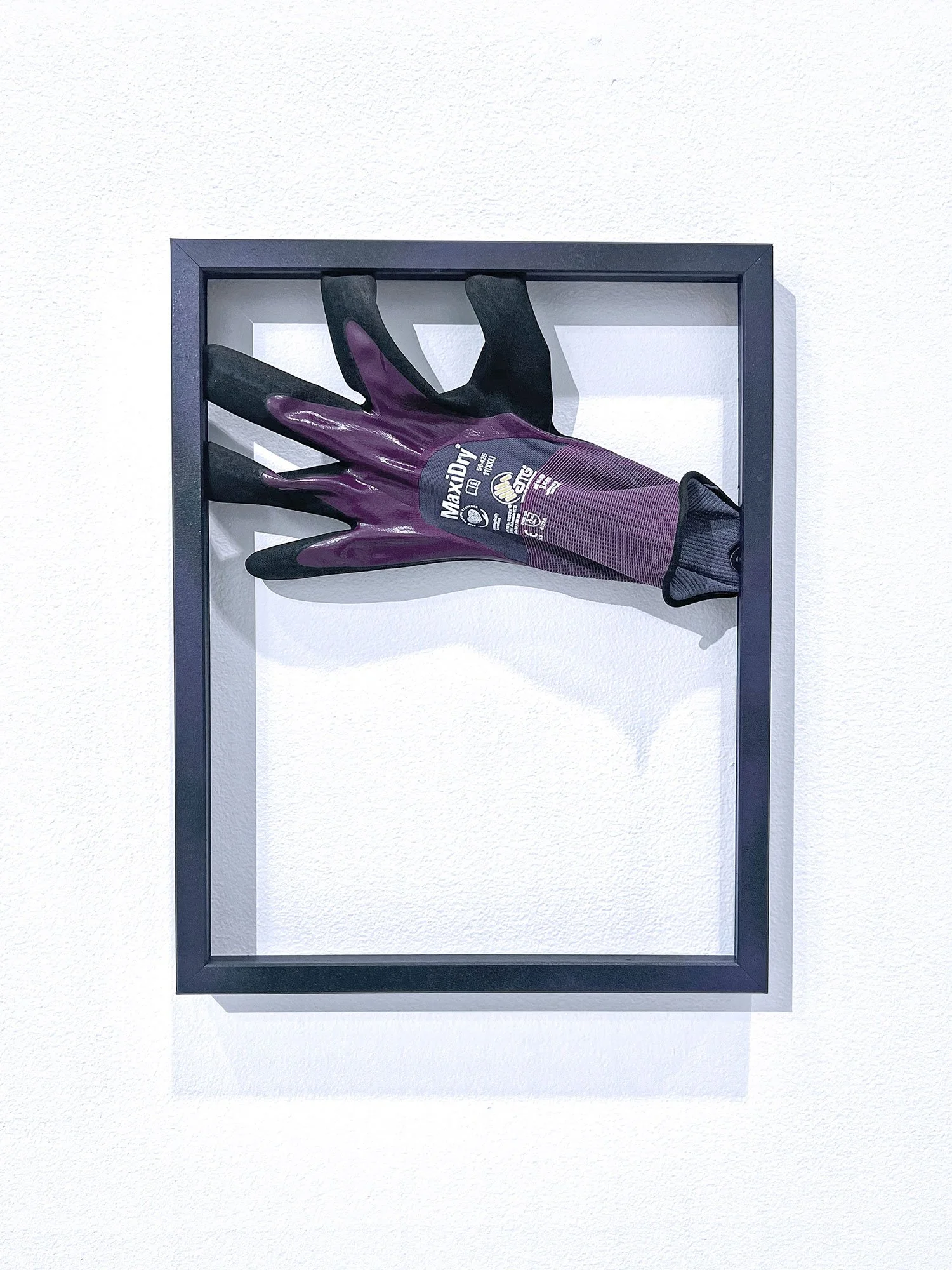 AW/Antics, installation view